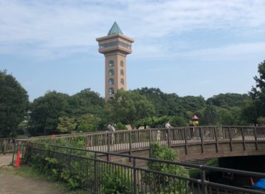 麻溝公園・風景