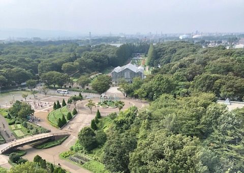 麻溝公園 樹林広場