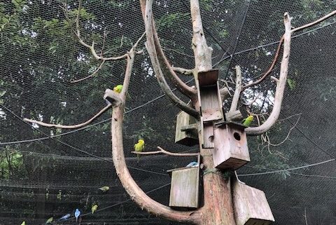 こどもどうぶつえん 園内風景8