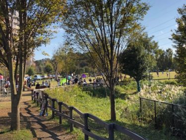 玄海田公園のホタル沢