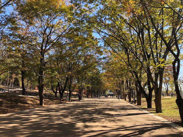 鶴間公園(水道みち)の風景