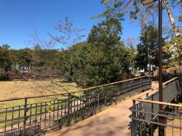 鶴間公園・さわやか広場1