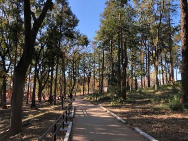鶴間公園・つるまの森