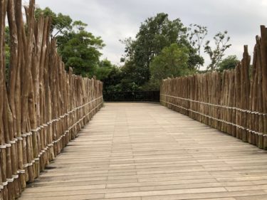 ズーラシア サバンナへ向かう橋