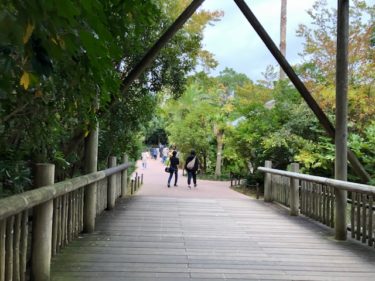 ズーラシア 亜寒帯の森の橋
