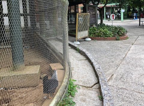 こどもどうぶつえん 園内風景4