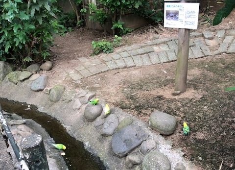 こどもどうぶつえん 園内風景9