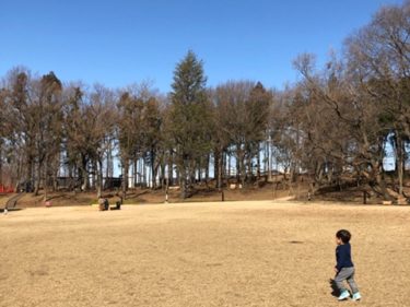 鶴間公園・さわやか広場5
