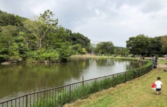 子供自然公園・中池