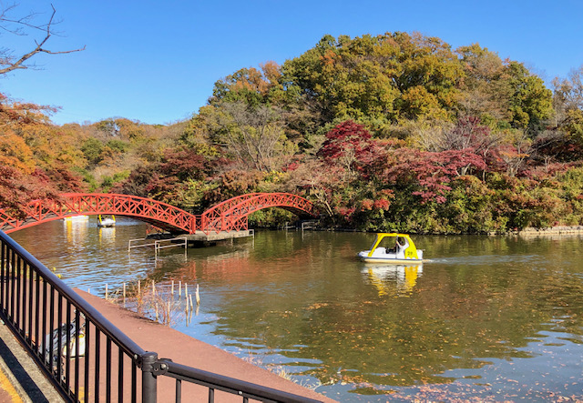 こどもの国 横浜 子連れで楽しめる公園 牧場 動物園 遊具 駐車場情報有 でんと 子供と田園都市線沿線の生活情報