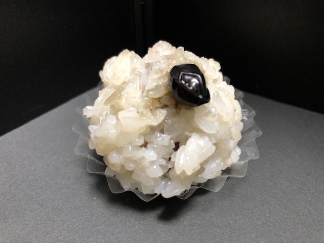 OHAGI3・香月(黒豆)
