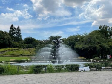 世田谷公園・噴水