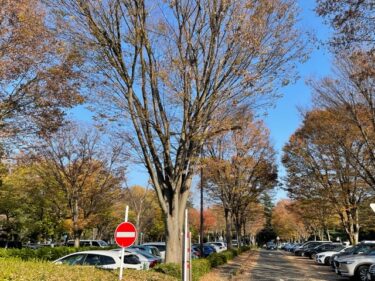 砧公園・駐車場