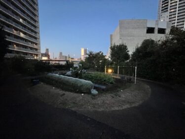 目黒天空庭園・野菜畑