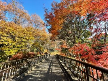 相模原公園・リリちゃん橋(脇道)