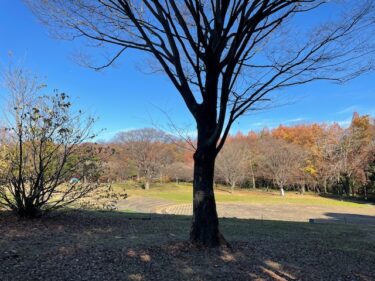 相模原公園・芝生広場