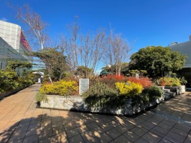 玉川高島屋の屋上庭園・水と芝生の広場