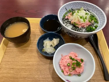 夢庵・ダブルねぎとろ丼セット