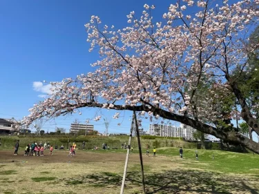 鶴間公園・運動広場1