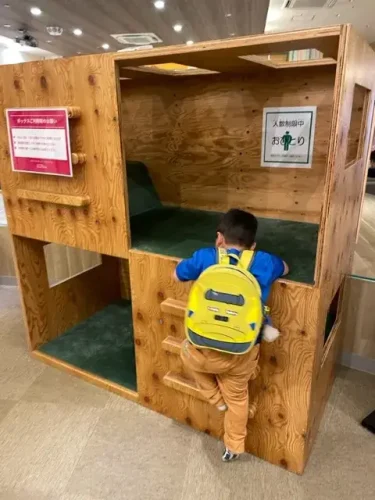 ゆったりCoco・Cocoランド3