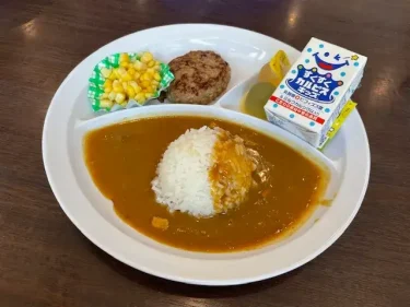 ココイチ・お子様カレー(ハンバーグ)