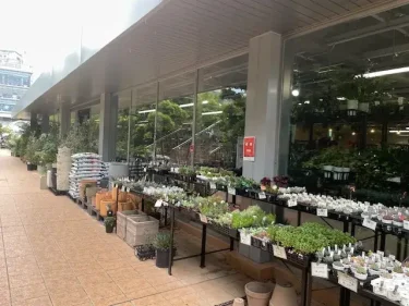 玉川高島屋の屋上庭園・施設風景