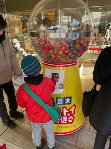 東急ストア・年始カプセルトイ1