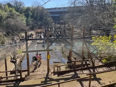 フィールドアスレチックつくし野・池1