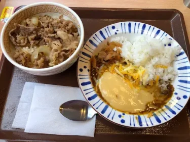 すき家・牛丼ととろ～りチーズカレー