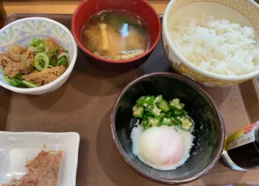 すき家・かつぶしオクラ牛丼(サラダセット)