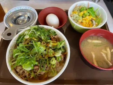 すき家・ねぎ玉牛丼とサラダセット