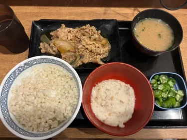 吉野家・麦とろ牛皿御膳